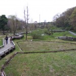 神代水生植物園